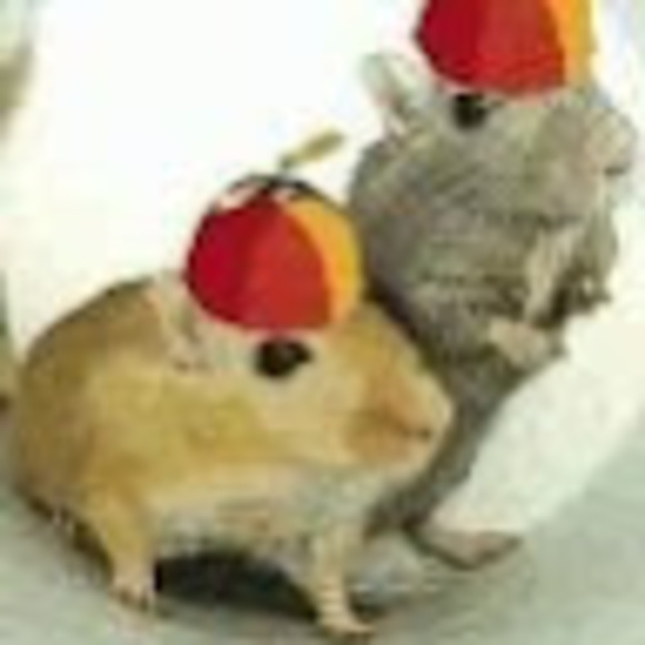 Meet your Posher, Lynn - Picture 1 of 1